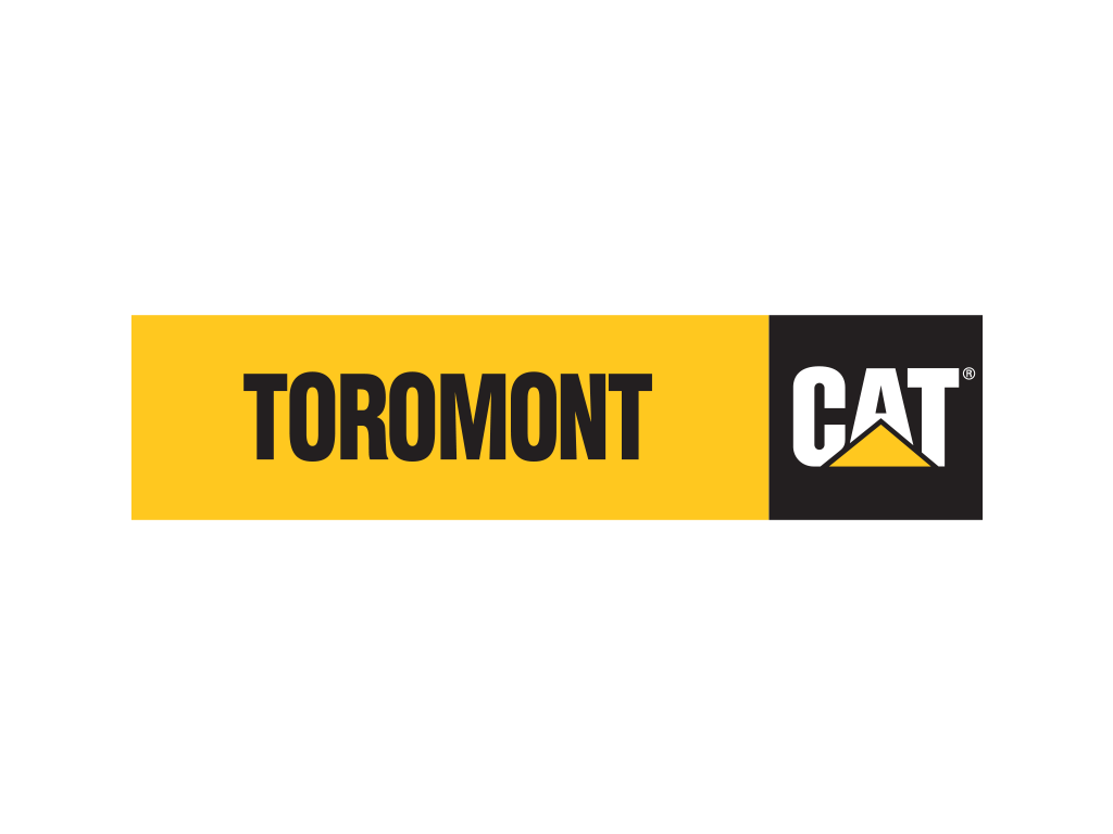 Data Analyst