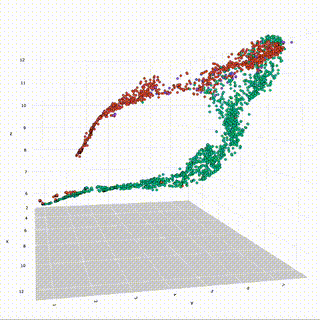 Single Cell Hi-C Animated
